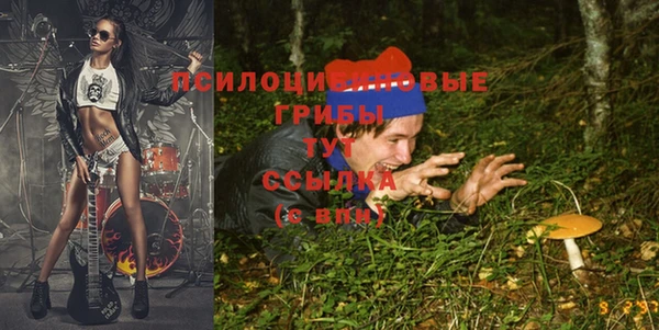 a pvp Алзамай