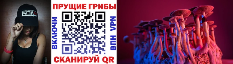 МЕГА зеркало  Шадринск  Галлюциногенные грибы Psilocybine cubensis  купить наркоту 
